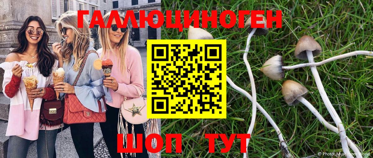 Галлюциногенные грибы ЛСД Тобольск